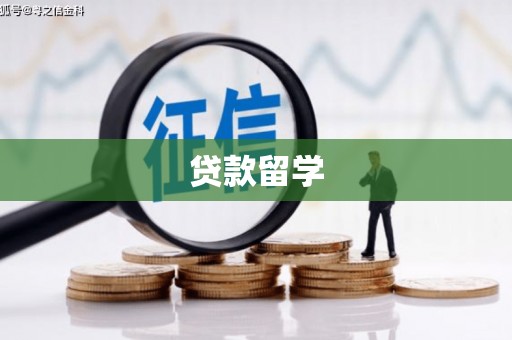 新华贷款留学