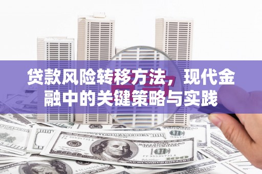 新华贷款风险转移方法，现代金融中的关键策略与实践