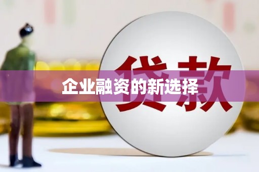 新华企业融资的新选择