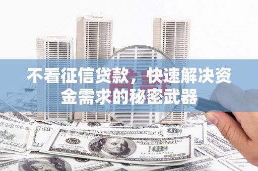 新华不看征信贷款，快速解决资金需求的秘密武器