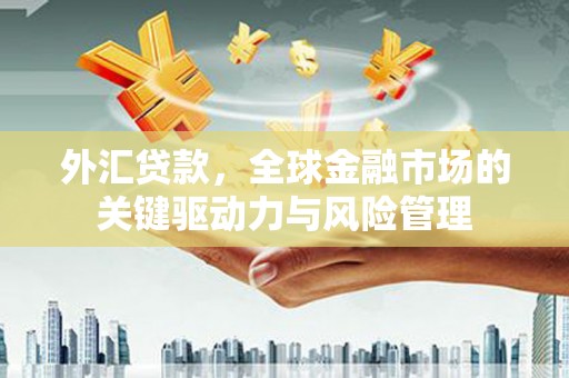 新华外汇贷款，全球金融市场的关键驱动力与风险管理