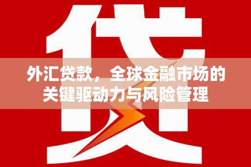 新华外汇贷款，全球金融市场的关键驱动力与风险管理