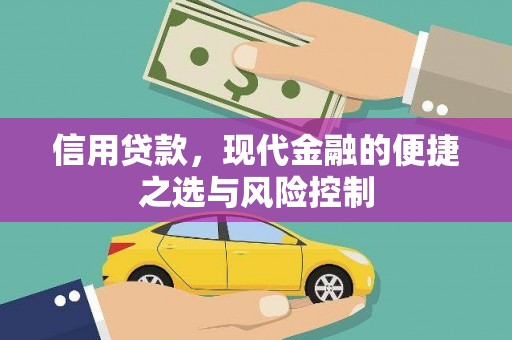 新华信用贷款，现代金融的便捷之选与风险控制