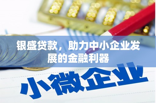 新华银盛贷款，助力中小企业发展的金融利器
