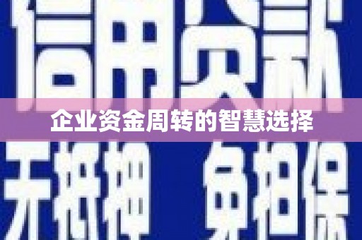 新华企业资金周转的智慧选择