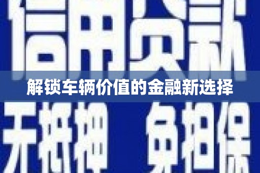 新华解锁车辆价值的金融新选择