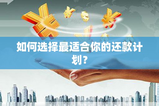 新华如何选择最适合你的还款计划？