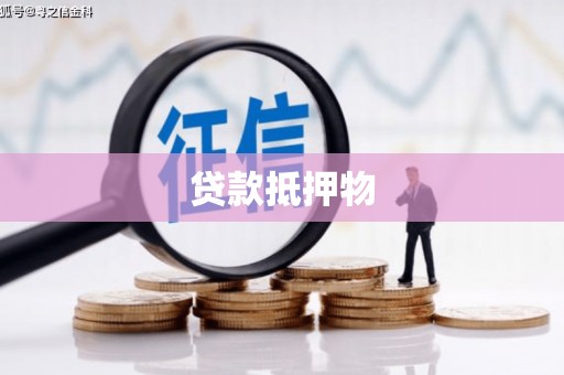 新华贷款抵押物