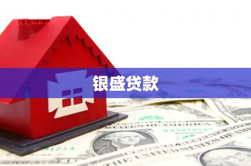 新华银盛贷款