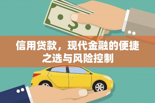 新华信用贷款，现代金融的便捷之选与风险控制