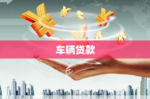 新华车辆贷款