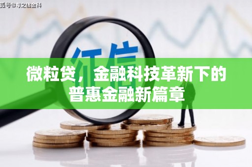 新华微粒贷，金融科技革新下的普惠金融新篇章