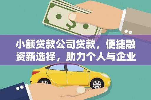 新华小额贷款公司贷款，便捷融资新选择，助力个人与企业成长