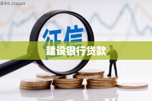 新华建设银行贷款