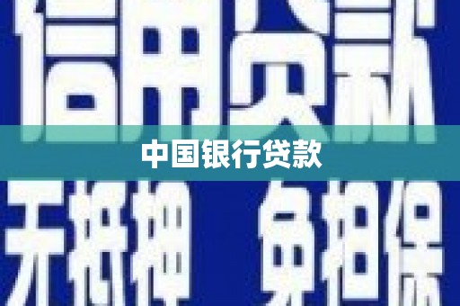 新华中国银行贷款