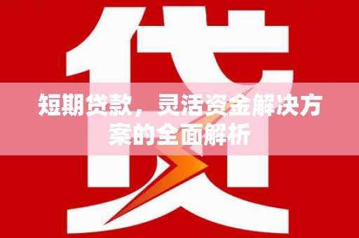 新华短期贷款，灵活资金解决方案的全面解析