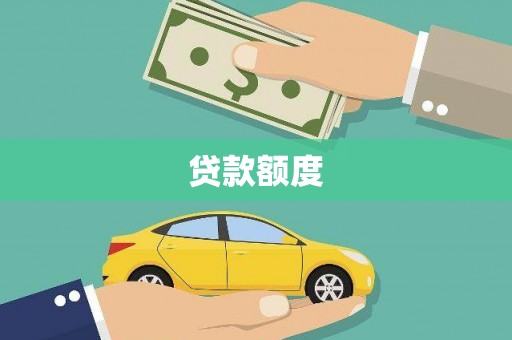 新华贷款额度