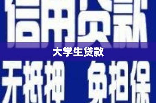 新华大学生贷款