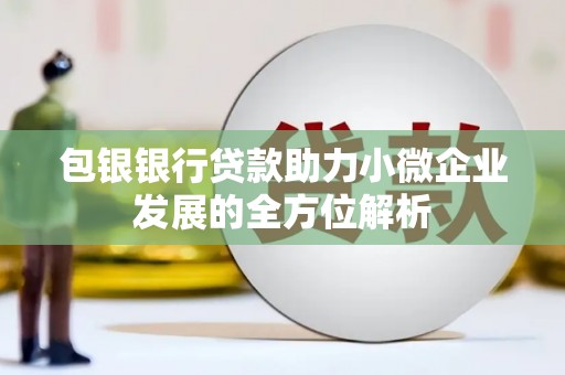 新华包银银行贷款助力小微企业发展的全方位解析