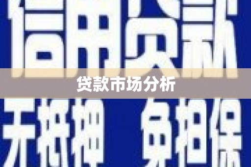 新华贷款市场分析