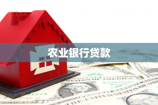 新华农业银行贷款