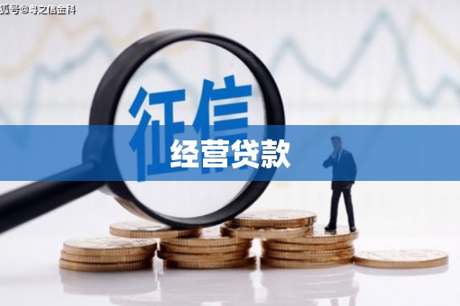 新华经营贷款