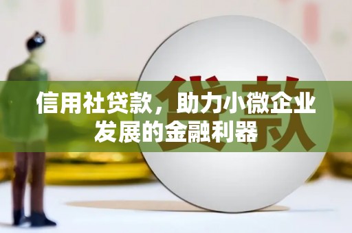新华信用社贷款，助力小微企业发展的金融利器