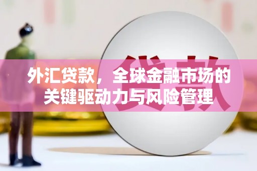 新华外汇贷款，全球金融市场的关键驱动力与风险管理
