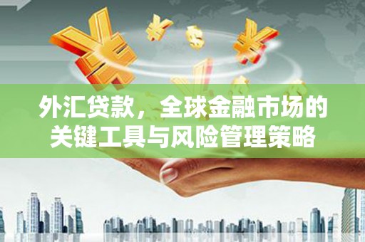 新华外汇贷款，全球金融市场的关键工具与风险管理策略