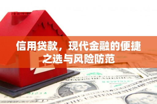 新华信用贷款，现代金融的便捷之选与风险防范