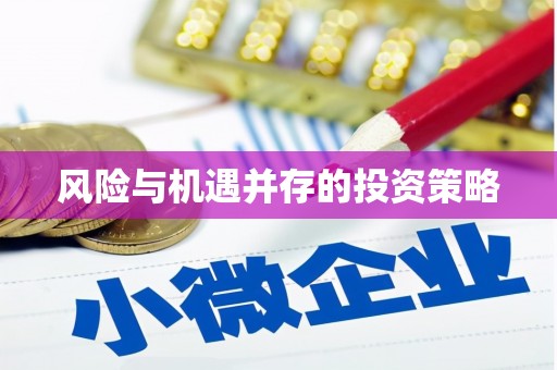 新华风险与机遇并存的投资策略