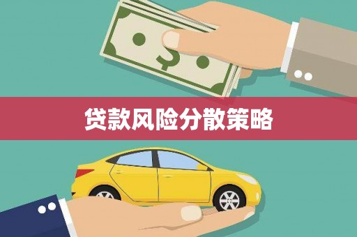 新华贷款风险分散策略