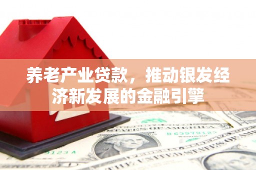 新华养老产业贷款，推动银发经济新发展的金融引擎