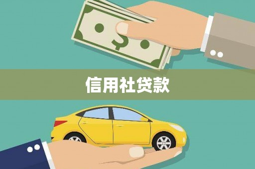 新华信用社贷款
