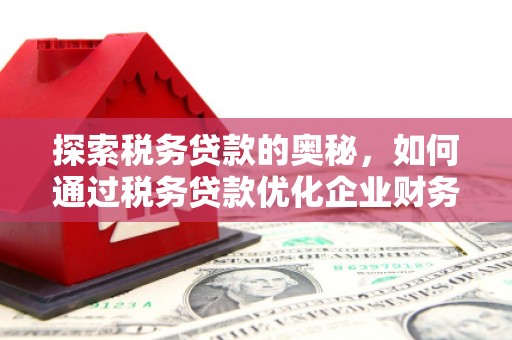 新华探索税务贷款的奥秘，如何通过税务贷款优化企业财务