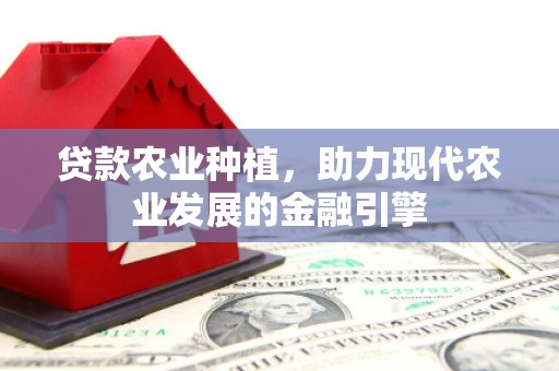新华贷款农业种植，助力现代农业发展的金融引擎