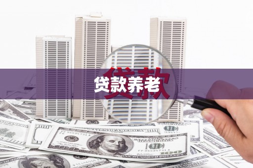 新华贷款养老