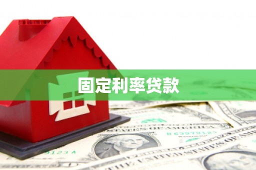 新华固定利率贷款