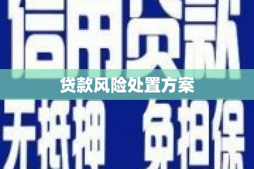新华贷款风险处置方案