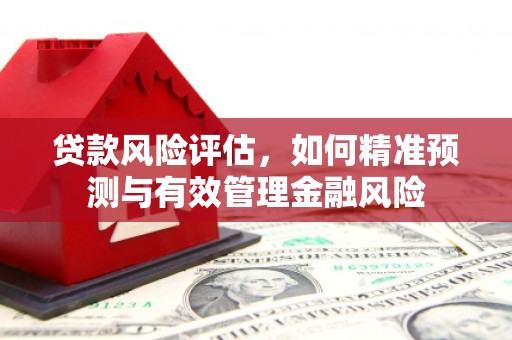 新华贷款风险评估，如何精准预测与有效管理金融风险