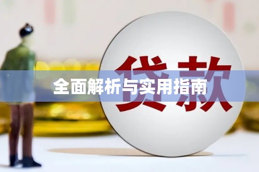 新华全面解析与实用指南