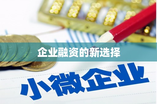 新华企业融资的新选择