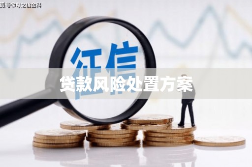 新华贷款风险处置方案
