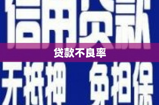新华贷款不良率
