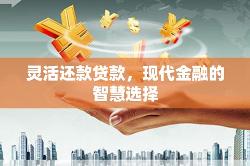 新华灵活还款贷款，现代金融的智慧选择