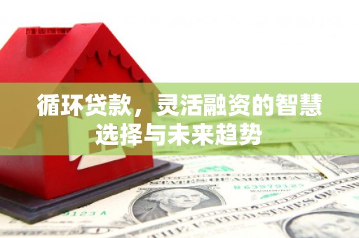 新华循环贷款，灵活融资的智慧选择与未来趋势