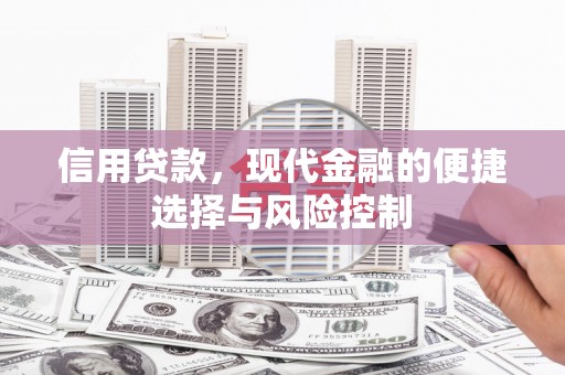 新华信用贷款，现代金融的便捷选择与风险控制