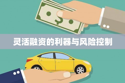 新华灵活融资的利器与风险控制