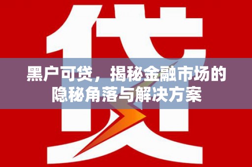新华黑户可贷，揭秘金融市场的隐秘角落与解决方案