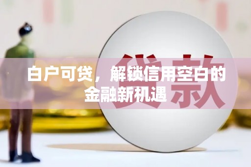 新华白户可贷，解锁信用空白的金融新机遇